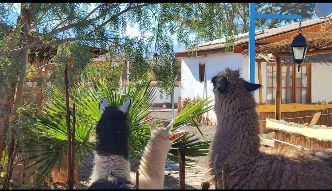 Cabanas Voyage Atacama Сан-Педро-де-Атакама Экстерьер фото