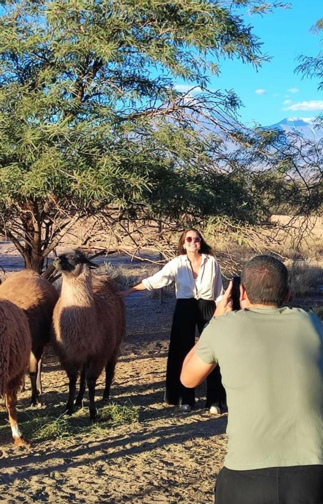 Cabanas Voyage Atacama Сан-Педро-де-Атакама Экстерьер фото
